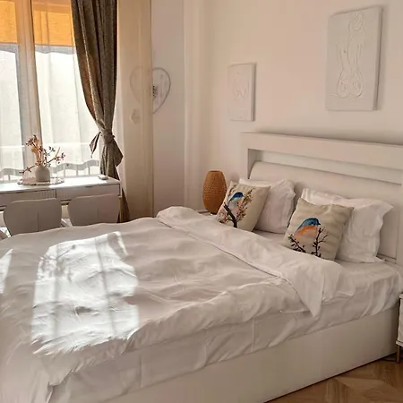 2rooms Calea Victoriei-old Town Apartament