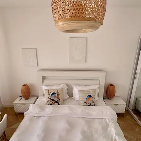 Apartamento 2rooms Calea Victoriei-old Town