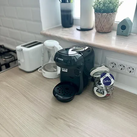 2rooms Calea Victoriei-old Town Apartament *