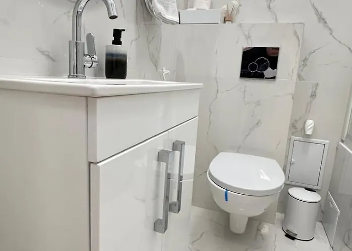 Apartment 2rooms Calea Victoriei-old Town *